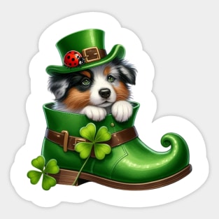 Australian Shepherd Dog Shoes For Patricks Day Sticker